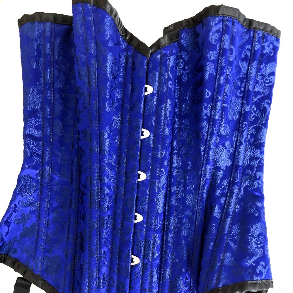Stunning Silk Victorian Corset